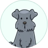 For Dog